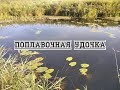 Рыбалка на поплавочную удочку.