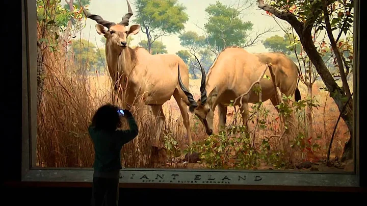 Treasures of New York: American Museum of Natural History - DayDayNews