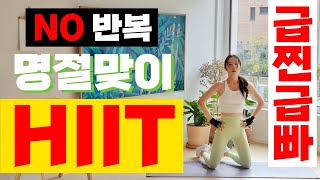 Full Body Fat Burn Holiday Hiit No Repeat, No Equip