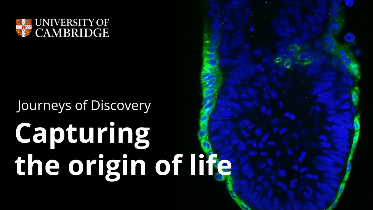 Journeys of Discovery: Capturing the origin of life - YouTube