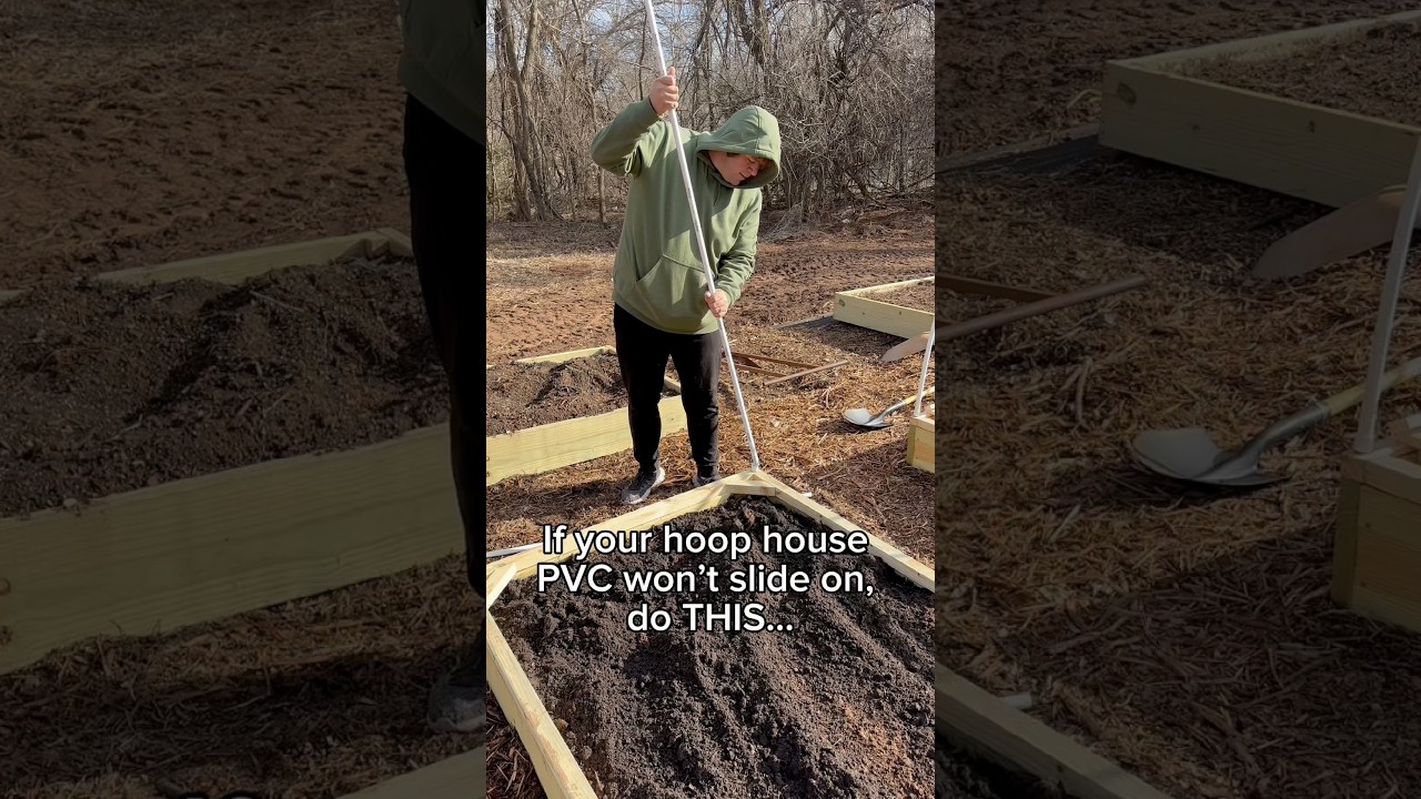 Uploads from From Seed to Spoon Garden Planning App