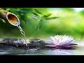 Relaxing Music &amp; Bamboo Water Fountain - Beautiful Piano Music, Background Music, Sleep Music