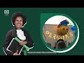 #SomosCOB - Episódio 1 | Conheça Denise, colaboradora do COB desde 2013