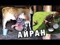 АЙРАН карачаево-балкарский. ГОТОВИТ ГОРЕЦ - Ayran