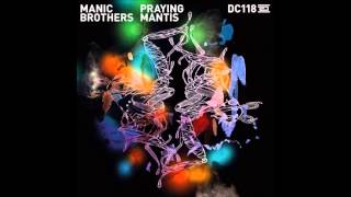 Manic Brothers - Voices (Original Mix)