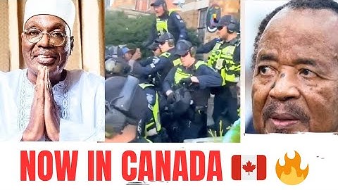 CAMEROONIANS IN CANADA 🇨🇦 SHOCKED PAUL BIYA #paulbiya #issatchiroma #CAMEROONNEWS