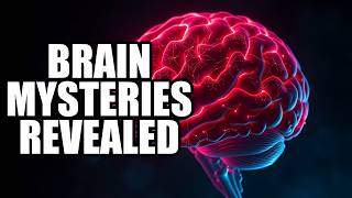 Unveiling the Forgotten Mysteries of the Human Brain: What Lies Beneath