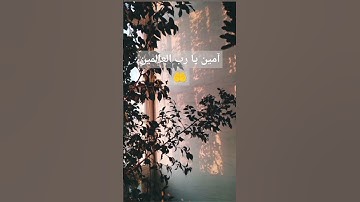 القرآن الكريم/ تلاوة خاشعة/ تلاوة القرآن الكريم/ ترتيل / الترتيل / ترتيل القرآن الكريم