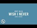 JOEY DJIA - Wish I Never [And If I could, I'd Just Forget About You]  (Official Lyric Video)