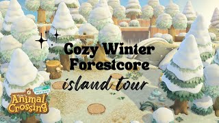 Cozy Winter Forestcore Island Tour | Animal Crossing New Horizons