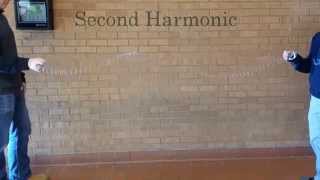 Slinky Mechanical Wave Second Harmonic