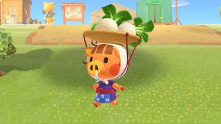 Animal Crossing New Horizons: Daisy Mae