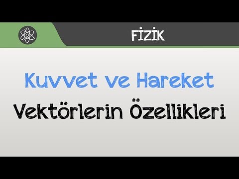 Kuvvet ve Hareket - Vektörlerin Özellikleri