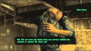 FALLOUT 3   in a Nutshell
