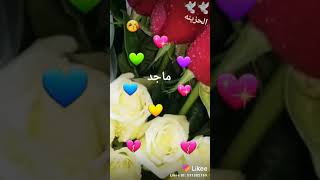 حالات وتس اب عن أسم ماجد روعه ولا أحلا