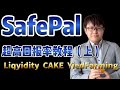 超高回报率教程 上集【永久保存版】(SafePal Wallet, PancakeSwap,远比艾达币ADA质押回报高出100倍)| ZHANG Ruieyes