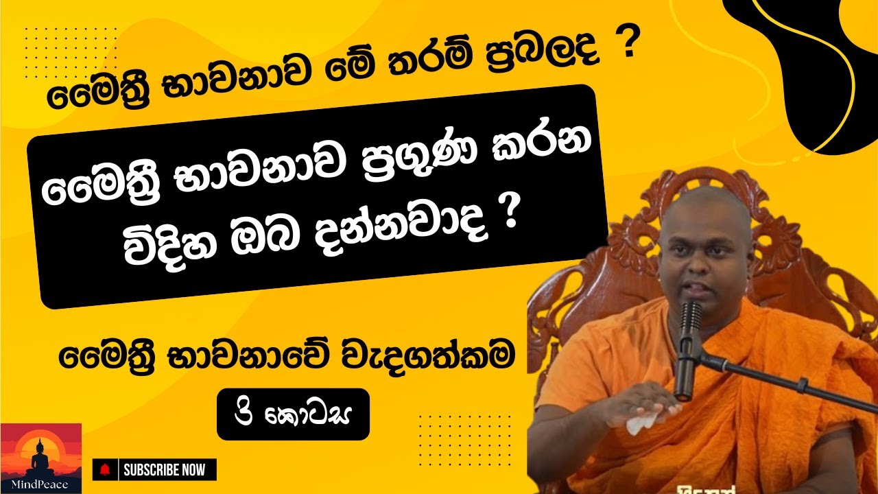 මෛත්‍රී භාවනාව ප්‍රගුණ කරන විදිහ ඔබ දන්නවාද ?| මෛත්‍රී භාවනාවේ වැදගත්කම (3 කොටස) 🤍