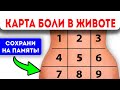 Вот как БЫСТРО УЗНАТЬ, почему у Вас БОЛИТ ЖИВОТ! Карта боли в животе