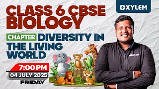 Class 6 Cbse Biology  Diversity In The Living World  Xylem Class 6 Cbse
