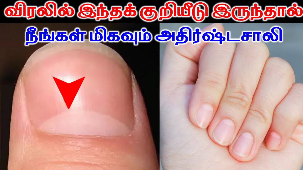 5 Nails Half Moon Palmistry | இந்த குறியீடு இருந்தால் மிகவும் அதிர்ஷ்டசாலி | T Tamil Technology