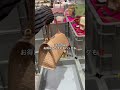『GOLDEN WEEK』開催中　【開催期間】 2026年4月18日（土）～5月6日（水）KOMEHYO全販売店舗KOMEHYOへ✨ #komehyo #セール情報 #gwお出かけ #GW