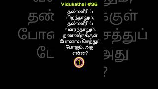 Vidukadhai tamil #விடுகதை #riddlejourney #jokes #riddle #vidukathai #shortvideo #shorts #gk #1m #10k