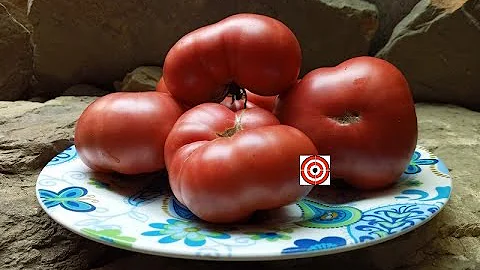 Pinky Tuscadero Tomato by Blane Horton