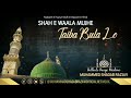 Shah e waala mujhe taiba bula lo  muhammed shadab razavi stereo version