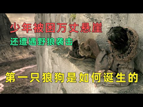 男孩无意救野狼一命，狼竟用这种方式对他，结局超暖