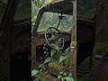 Rain on a 100-Year-Old Abandoned Car 🚗 #sleepsounds #natureasmr #deepsleep #rainambience #rainasmr