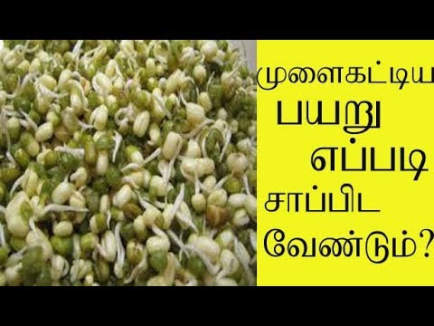 முளை கட்டிய பயறு எப்படி சாப்பிட வேண்டும்?