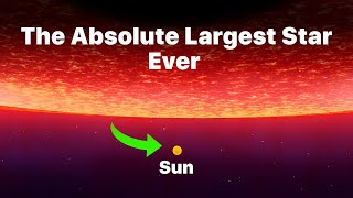 Sun vs Quasi-Star: The Absolute Largest Star Ever 2024