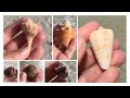 Shelling and finding treasures when there are NO SHELLS! How we found great shells on an empty beach