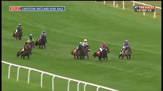 Shetland Pony Grand National Shetland Pony Grand National