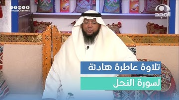 تلاوة هادئة ندية لآيات من سورة النحل - القارئ: ثامر الزير