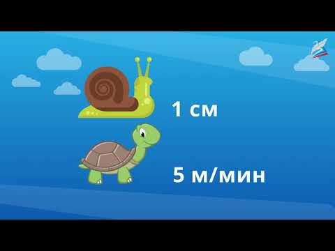 Понятие скорости. Единицы скорости