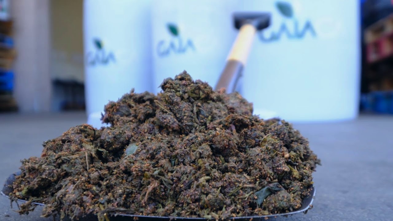 Cannabis Waste Disposal - Gaiaca - YouTube