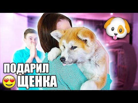 НЕОЖИДАННО ПОДАРИЛ ЩЕНКА ДЕВУШКЕ!