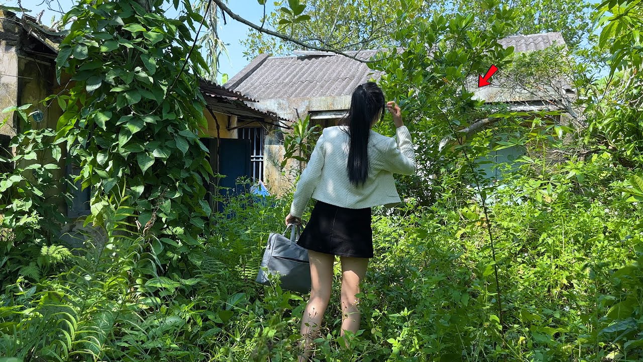 Что заставило молодую женщину-юриста потратить 4200 долларов на покупку заброшенного дома и уборку