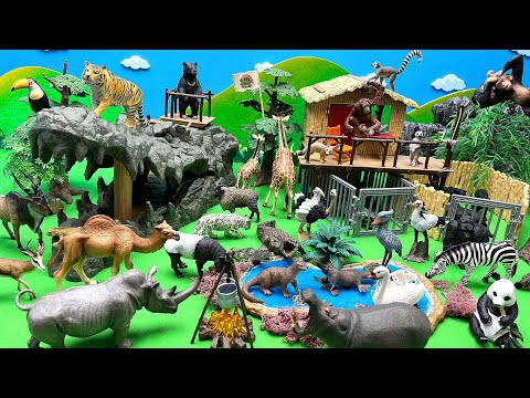 Animals Diorama In Crocodile Cave | Learn Animals Name | 악어 동굴 사파리 동물 배우기