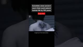 Human Parasite movie hollywood movierecap hitmovie latestmovies 