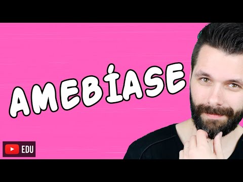 Vídeo: Quais são as funções da ameba?