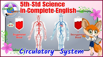 5th Std | Science | Term-1| Ch-01 | Organ Systems | III | Circulatory System | English