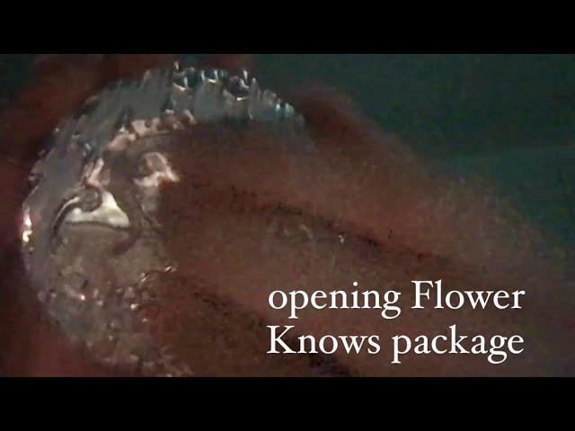 (asmr) showing you my flower knows (unedited) (lofi)