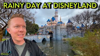 Rainy Day Fun at Disneyland! Food, Rides & Quick Updates Around the Resort!