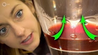 Most People Don’t Know Wine Moves Like This | EVERYDAY MYSTERY