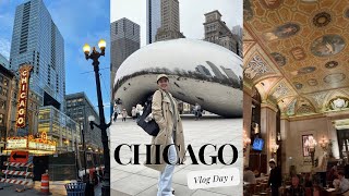 Chicago Vlog Day 1 | Cloud Gate Millennium Park, Shop with me at Goth Target