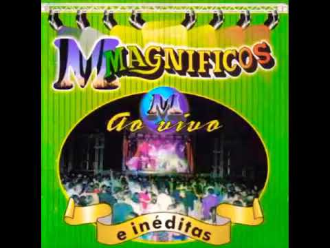 Banda magníficos - te quero assim