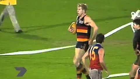 Jameson v Fitzroy 1991