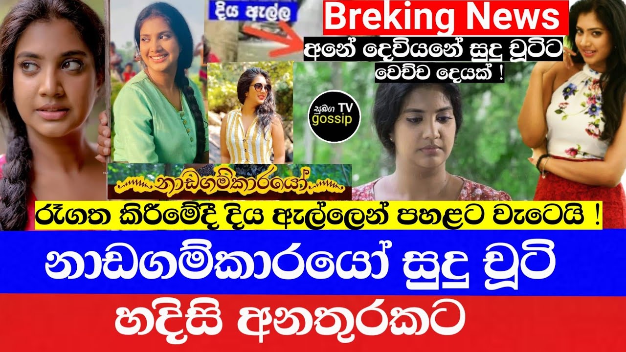 Sonali Fonseka Sex - à¶±à·à¶©à¶œà¶¸à·Šà¶šà·à¶»à¶ºà· à¶¢à¶±à¶´à·Šâ€à¶»à·’à¶º à·ƒà·”à¶»à·–à¶´à·’ à¶±à·’à·…à·’à¶º à·„à¶¯à·’à·ƒà·’ à¶…à¶±à¶­à·”à¶»à¶šà¶§ | Sonali Fonseka Breking  News | Nadagamkarayo today - YouTube